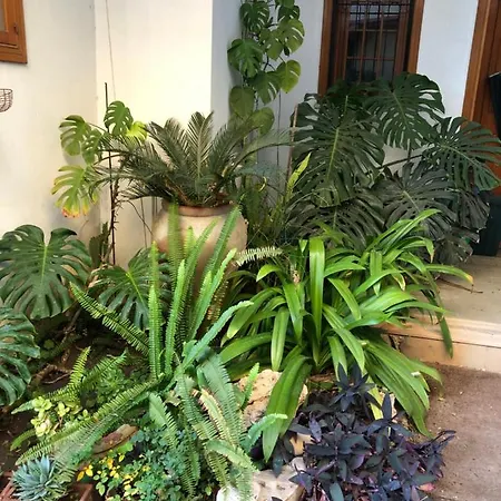 아파트 Artroom Garden